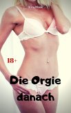 Die Orgie danach (eBook, ePUB)