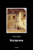Kurzprosa (eBook, ePUB)