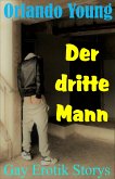 Der dritte Mann (eBook, ePUB)