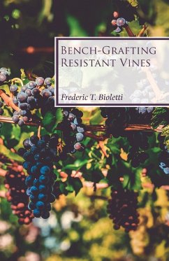 Bench-Grafting Resistant Vines - Bioletti, Frederic T.