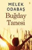 Bugday Tanesi