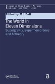 The World in Eleven Dimensions (eBook, PDF)