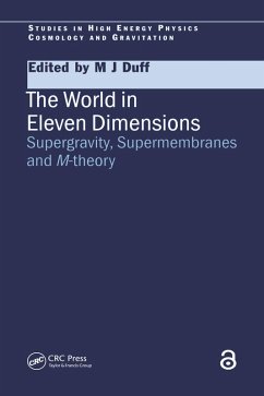 Cover The World in Eleven Dimensions (eBook, PDF)