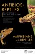 Anfibios y reptiles del municipio de... - Bild 1