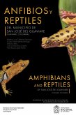 Anfibios y reptiles del municipio de San José del Guaviare (Guaviare, Colombia) (eBook, PDF)