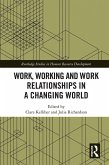 Work, Working and Work Relationships in a Changing World (eBook, ePUB)
