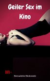 Geiler Sex im Kino (eBook, ePUB)