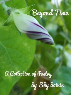 Beyond Time (eBook, ePUB) - Boivin, Sky