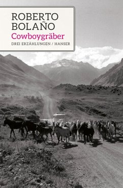 Cowboygräber - Bolaño, Roberto