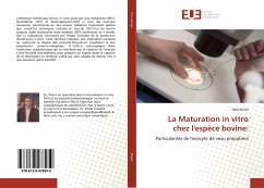 La Maturation in vitro chez l'espèce bovine: - Khatir, Hadj