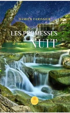 Les promesses d'une nuit (eBook, ePUB) - Farissier, Damien