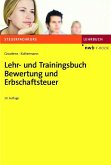 Lehr- und Trainingsbuch Bewertung und Erbschaftsteuer (eBook, PDF)