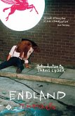Endland (eBook, ePUB)