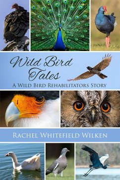 Cover Wild Bird Tales (eBook, ePUB)