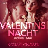 Valentinsnacht: Erotische Novelle (MP3-Download)