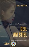 Geil am Stiel (eBook, ePUB)