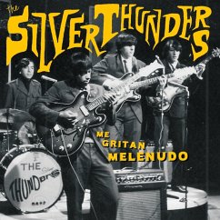 Me Gritan Melenudo - Silver Thunders,The