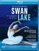 Swan Lake [Blu-Ray]