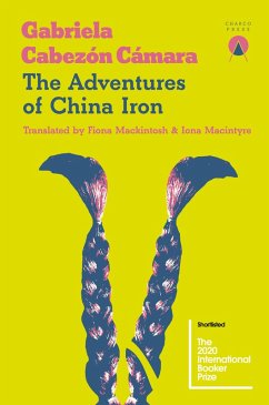 The Adventures of China Iron (eBook, ePUB) - Cabezón Cámara, Gabriela