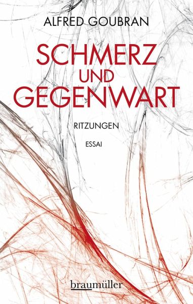 Schmerz und Gegenwart (eBook, ePUB) Schmerz und Gegenwart (eBook, ePUB)