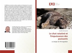 Le chat ratatiné et l'impuissance des puissants - Bouzouita, Ezzeddine