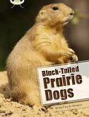 Bug Club Independent Non Fiction Year Two White B Black-tailed Prairie Dogs Bug Club Independent Non Fiction Year Two White B Black-tailed Prairie Dogs