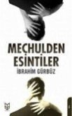 Mechulden Esintiler