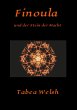 Finoula und der Stein der Macht - Bild 1