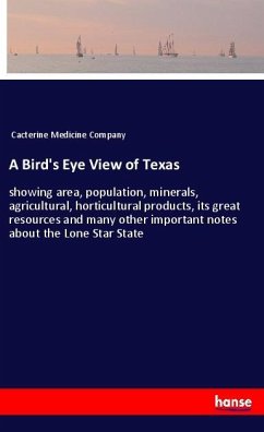 A Bird's Eye View of Texas - Cacterine Medicine Company