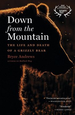 Down from the Mountain - Andrews, Bryce