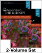 Brenner and Rector's the Kidney,... - Bild 1
