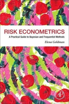 Risk Econometrics - Goldman, Elena