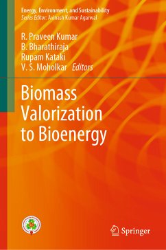 Biomass Valorization to Bioenergy (eBook, PDF)