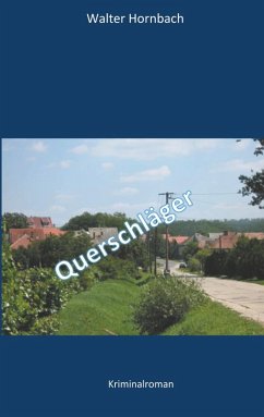 Querschläger (eBook, ePUB)