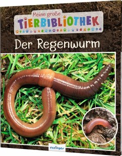 Der Regenwurm / Meine große Tierbibliothek Bd.7 - Tracqui, Valérie