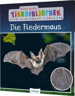 Die Fledermaus / Meine große Tierbibliothek Bd.8 - Poschadel, Jens;Möller, Antje