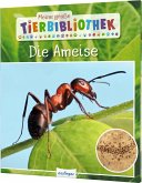 Die Ameise / Meine große Tierbibliothek Bd.6