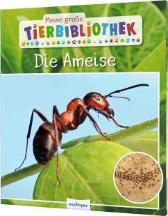 Die Ameise / Meine große Tierbibliothek Bd.6 - Gutjahr, Axel