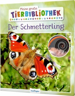 Der Schmetterling / Meine große Tierbibliothek Bd.14 - Tracqui, Valérie