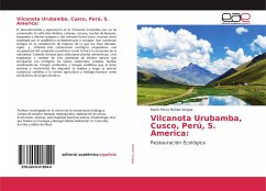 Vilcanota Urubamba, Cusco, Perú, S. America: