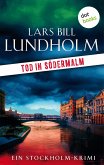 Tod in Södermalm: Der zweite Fall für Kommissar Hake (eBook, ePUB)