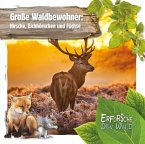 Große Waldbewohner: Hirsche, Eichhörnchen und Füchse