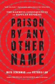 Prison by Any Other Name (eBook, ePUB)