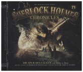 Sherlock Holmes Chronicles - Die Spur der Falken