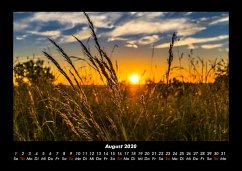 Blick in die Natur 2020 Fotokalender DIN A3 - Tobias Becker