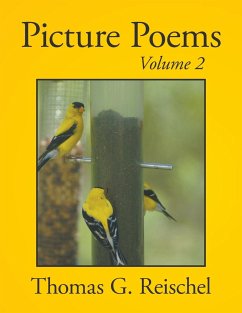 Picture Poems Volume 2 - Reischel, Thomas