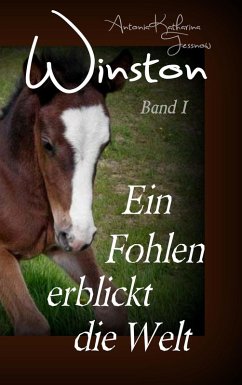 Winston - Ein Fohlen erblickt die Welt (eBook, ePUB) - Tessnow, Antonia Katharina