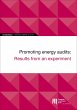 EIB Working Papers 2019/06 - Promoting... - Bild 1