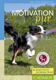 Motivation pur (eBook, ePUB)