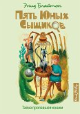 Тайна пропавшей кошки (eBook, ePUB)